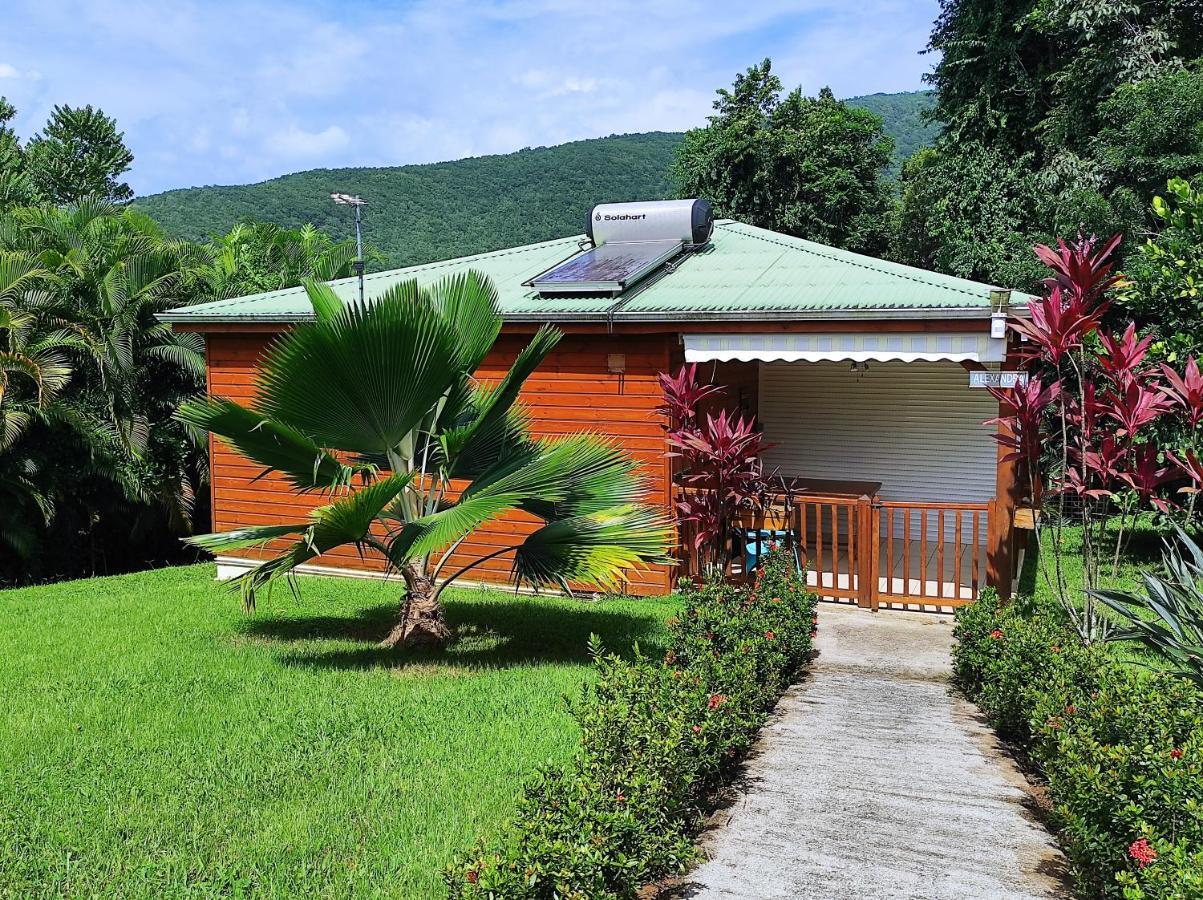 Le Tri Haut De Bellevue - Bungalow Colibri Pointe-Noire Eksteriør bilde